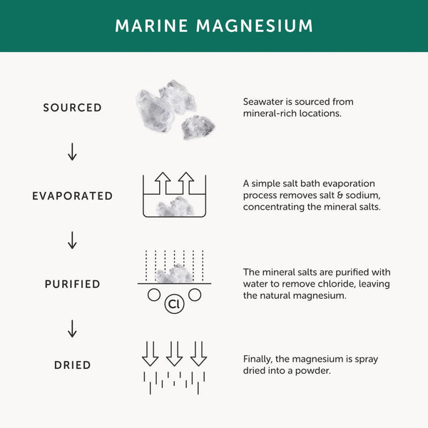 Infografik zur Beschreibung von Herstellung und Ursprung von marinem Magnesium