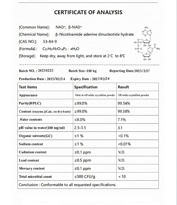 100 mg NAD+ infusion (β-nicotinamide adenine dinucleotide; CAS 53-84-9) - Returns excluded! - Imported