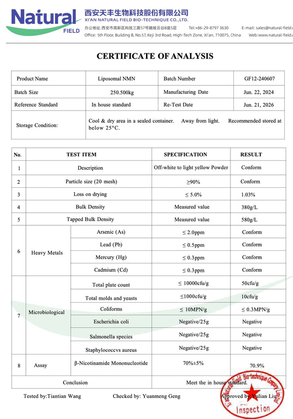 50 g liposomales NMN-Pulver (Nicotinamid-Mononukleotid)