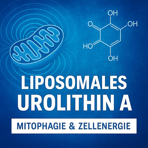 VORANKÜNDIGUNG: Liposomales Urolithin A (LipoAvail®) – Zellkraft neu aktiviert (100 Kapseln zuje 250 mg)